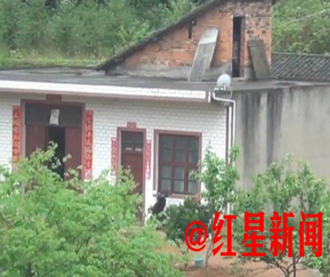 湖南病童似外星人 妈妈用针管抽脑积水_腾讯网