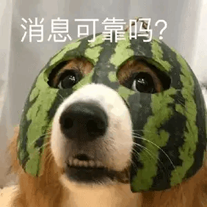表情包话里有话