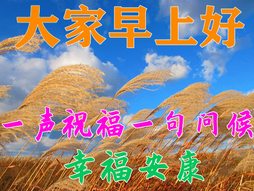 早上好动态表情图片大全,2022年新版早上好动图美图大全!