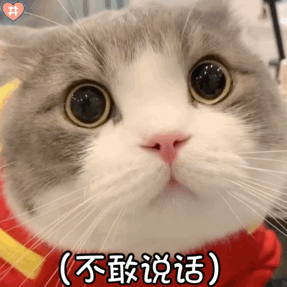 超可爱的猫咪表情包耶