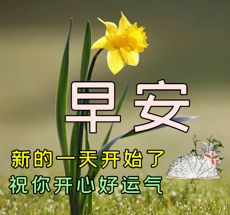 最新版早安问候语唯美小清新图片简短句子精选 早上好问候图片带字