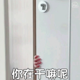 表情包丨sasa丸子妹表情0419期