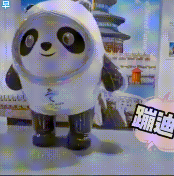 冰墩墩和雪容融表情包