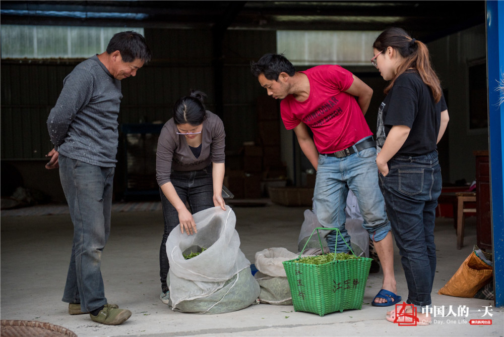高考狀元辭高薪返鄉(xiāng)做茶 江雪霞大學(xué)念的是哲學(xué)專業(yè)（2）