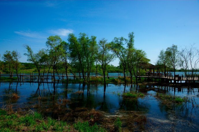 金河湾湿地植物园,步步美景,犹入画境