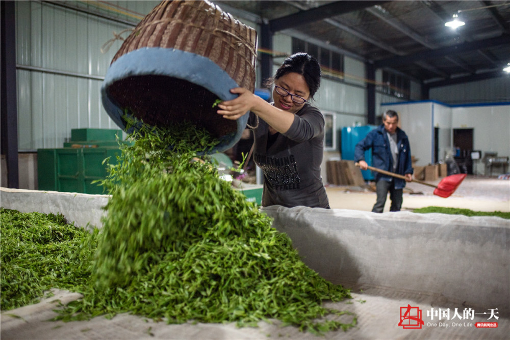 高考狀元辭高薪返鄉(xiāng)做茶 江雪霞大學(xué)念的是哲學(xué)專業(yè)（2）