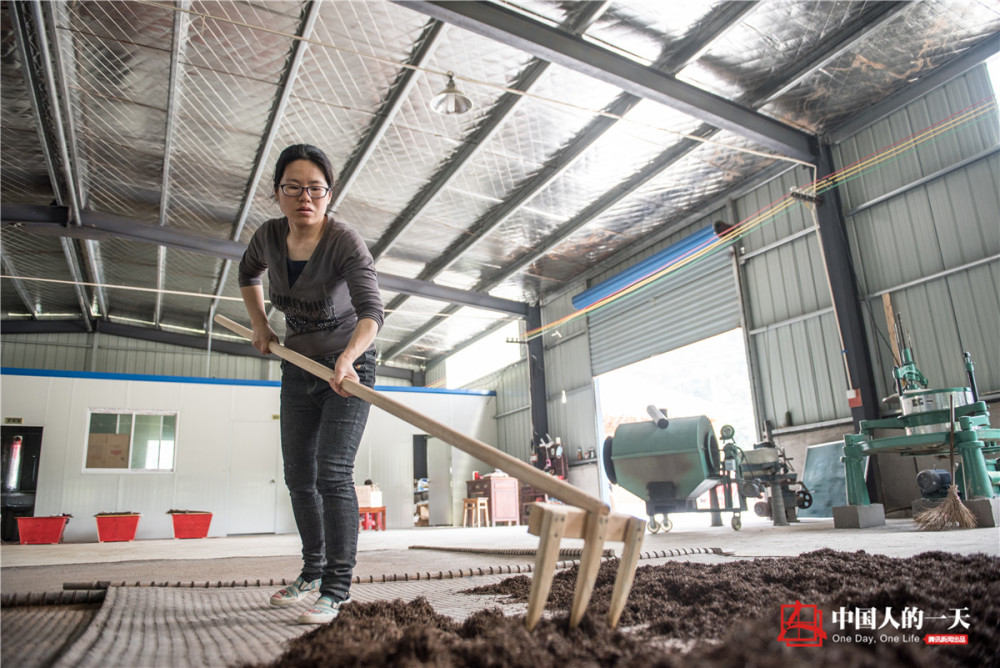 高考狀元辭高薪返鄉(xiāng)做茶 江雪霞大學(xué)念的是哲學(xué)專業(yè)（2）