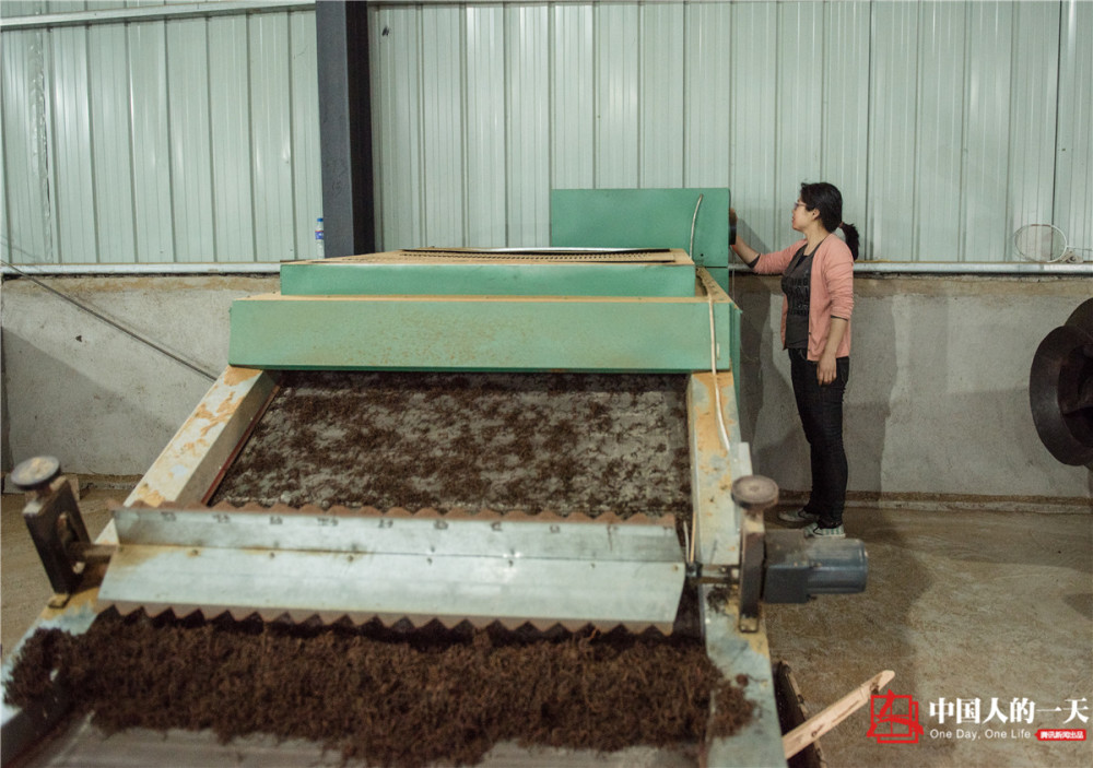 高考狀元辭高薪返鄉(xiāng)做茶 江雪霞大學(xué)念的是哲學(xué)專業(yè)（2）