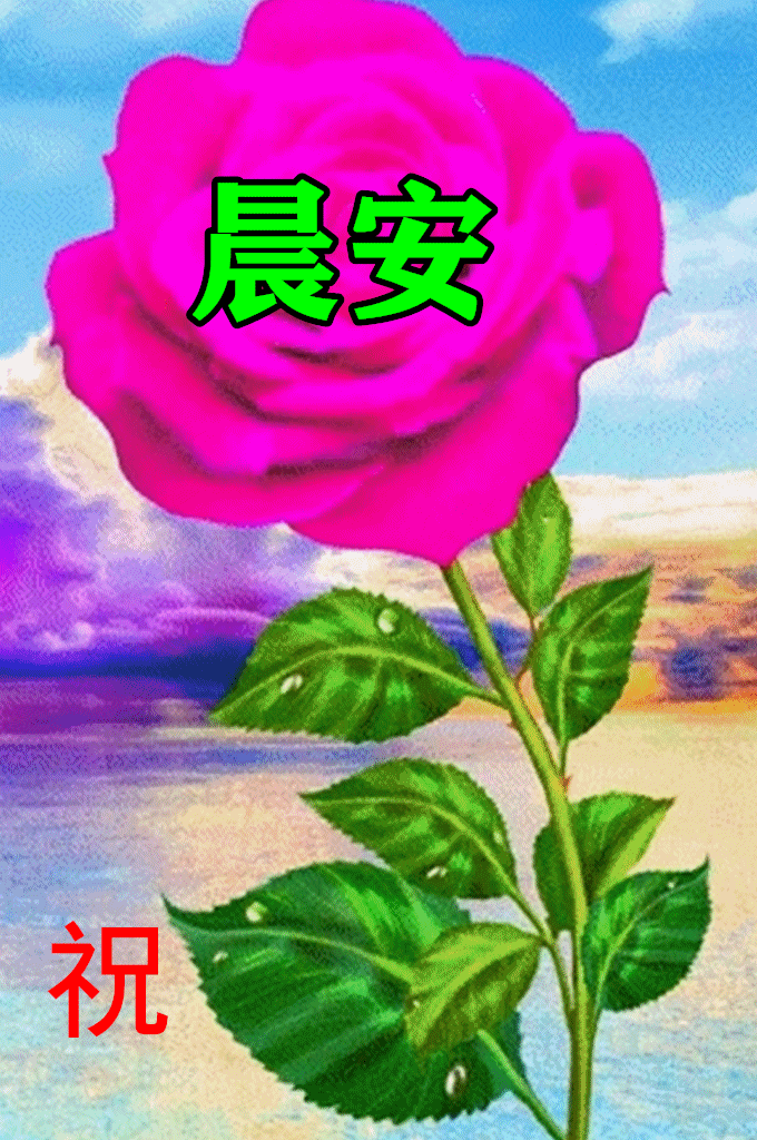 春日清晨漂亮早晨好问候动态表情图片春天早上好说说温馨图片