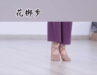 古典舞基本脚位步法图解gif