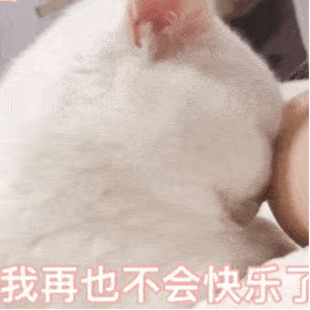 该公众号已被封禁公众号丸子妹表情包,丸子妹头像,丸子妹壁纸,丸子妹