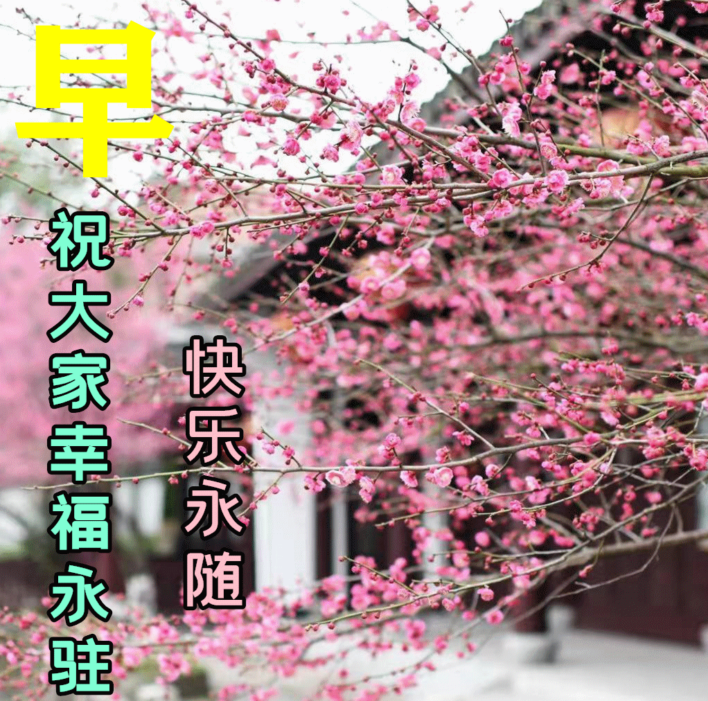 2022年3月12日特漂亮最新版早安动态图片阳春三月早上好祝福语句子