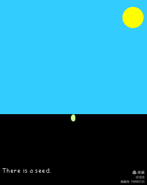 seeds also contain food for the baby plant.