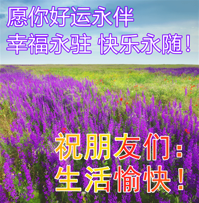 有创意的早上好图片带祝福语 温馨的春天大家早上好问候语图片带字