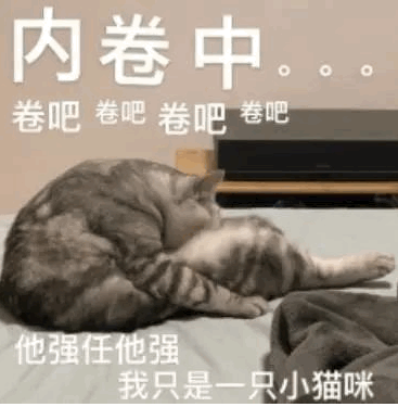 表情包卷起来表情包
