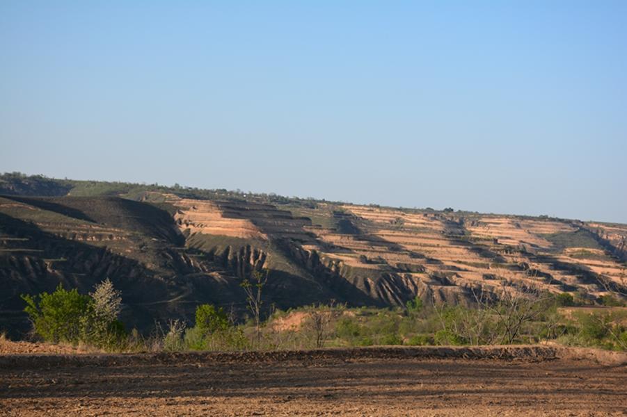 千沟万壑故乡美,霸道老五文章