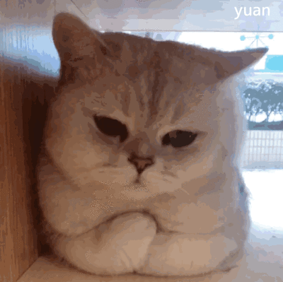 除了擦汗,出门在外,擦嘴,擦手,擦桌子也离不开包包纸,使用量高到离谱.