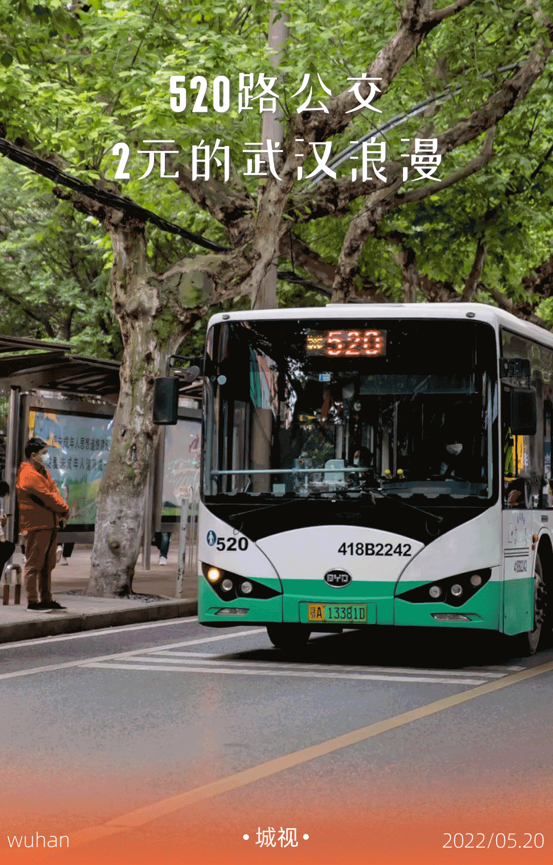 在武汉飞奔的520路公交车,原来是浪漫第一名