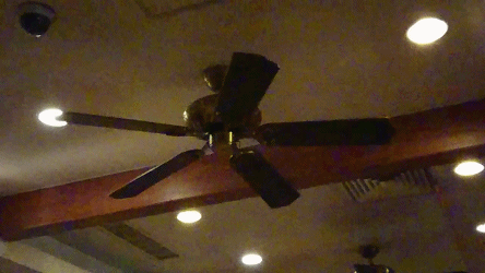 ⻷ϸȱʧ