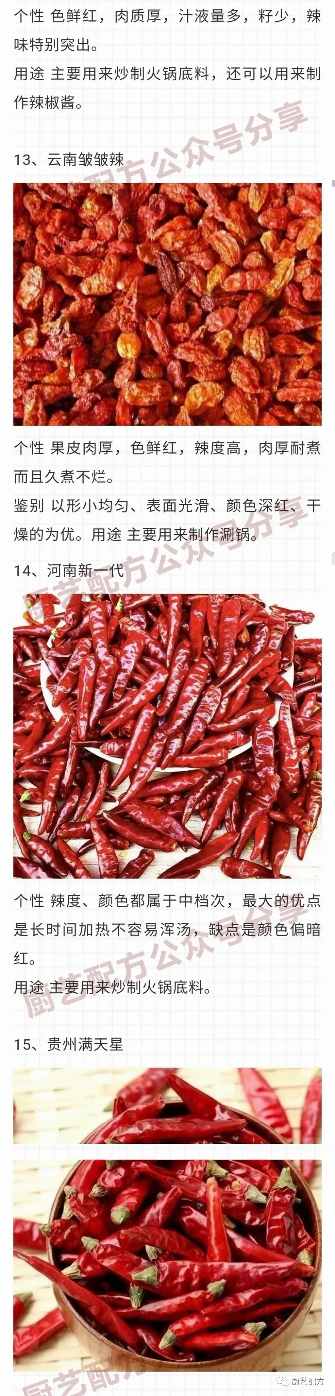 19种不同辣椒的的辣度理性用法大全