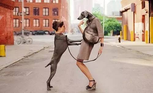 这玩法简直突破天际了,啥也不说只能默默赞了