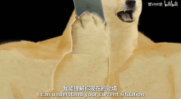 曾经的表情包柴犬又火了方式连它自己都意料不到
