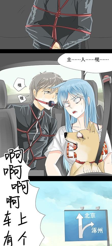 搞笑漫画,内涵漫画,成人漫画,开车,狗