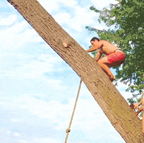 爆笑gif图:蓝翔毕业后都是这么削苹果的 搞笑gif图:一辈子孤单的屌丝