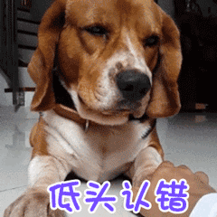 狗狗從來不會道歉？它的這6個認錯方式，主人忽略了而已