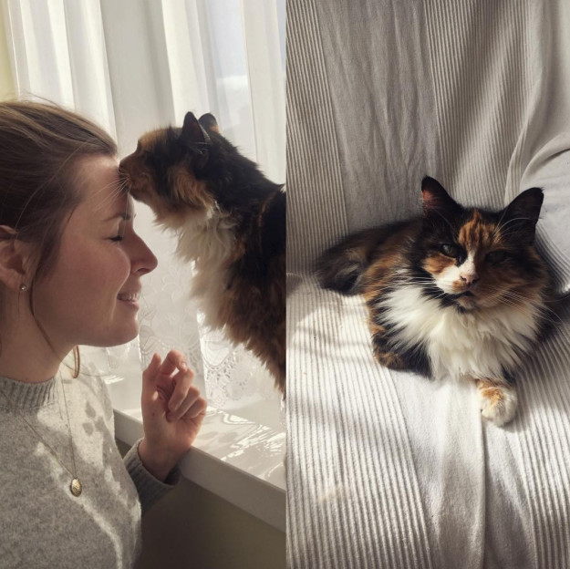 想要只乖巧萌萌哒猫咪?不可能!