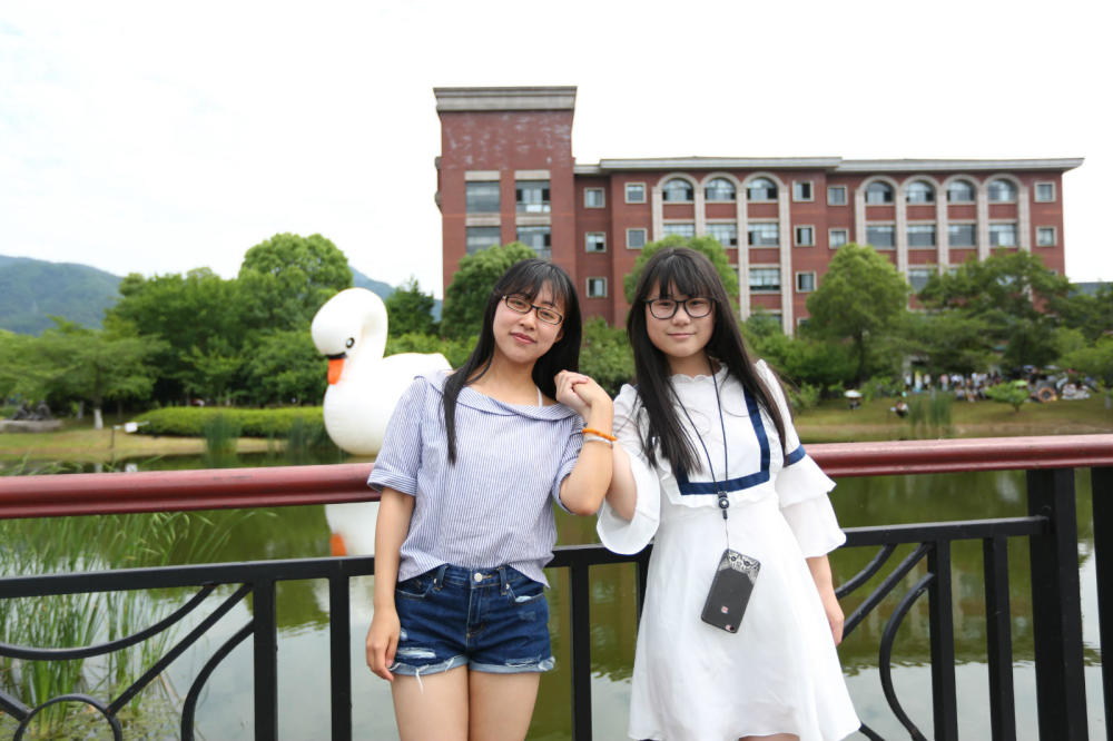 杭州一高校出现一只“超能大白鹅” 高6米长6米
