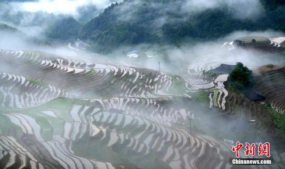 广西龙胜梯田雨后似“画廊”