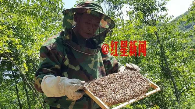 仍活在假虎余威里的周正龙：我让记者把你搞掉