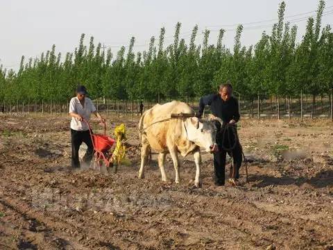 农村户口值多少钱？ 看完惊呆了！