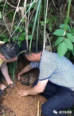嫌犯逃跑后把40万埋地里 称给儿娶老婆（组图） - 6