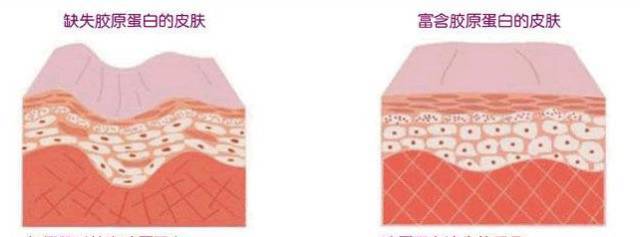 虎扑女神评选告诉你，胶原蛋白才是真正的直男斩（组图） - 35