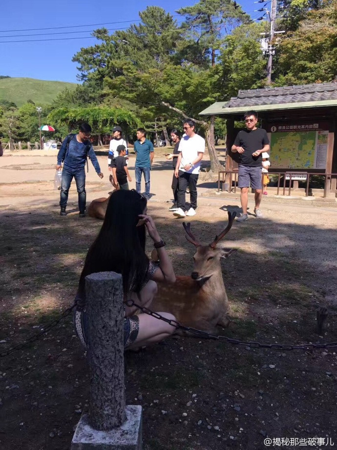 网红女友又上线！王思聪和豆得儿在日本游玩遭偷拍 全程搂抱无视他人（组图） - 5
