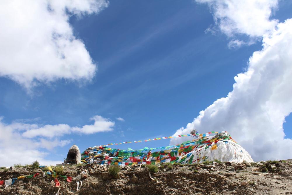 绝大多数人去珠峰路上忽略的这段风景，竟是藏族圣地夏天花海徜徉