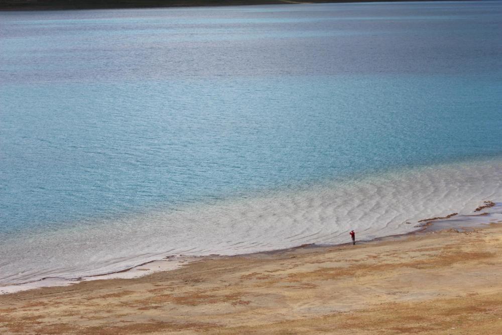 绝大多数人去珠峰路上忽略的这段风景，竟是藏族圣地夏天花海徜徉