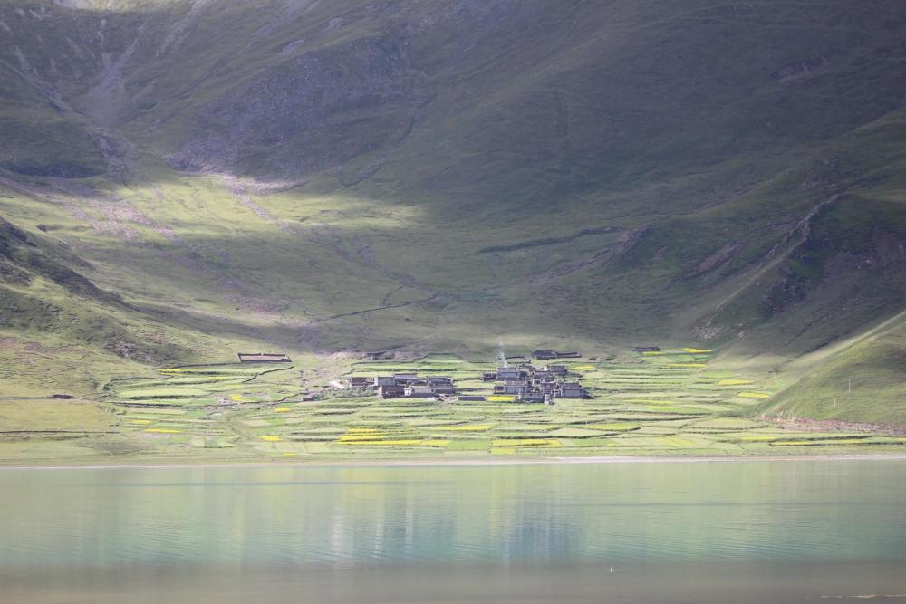 绝大多数人去珠峰路上忽略的这段风景，竟是藏族圣地夏天花海徜徉