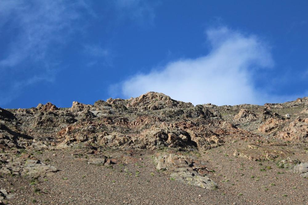 绝大多数人去珠峰路上忽略的这段风景，竟是藏族圣地夏天花海徜徉