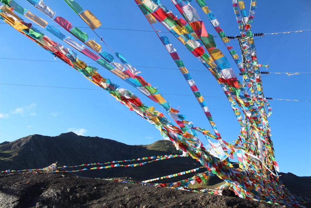 绝大多数人去珠峰路上忽略的这段风景，竟是藏族圣地夏天花海徜徉