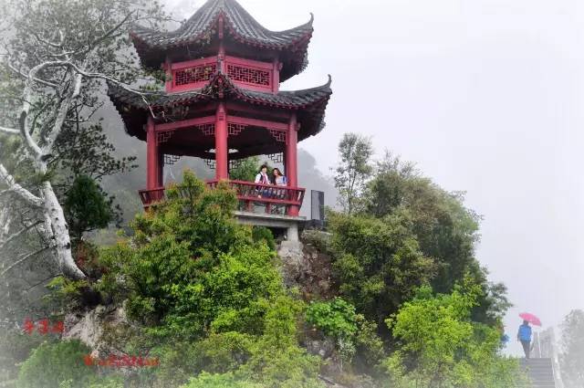 这座古城，被称为西北小江南！有熊猫出没，还藏了一条挂壁公路！