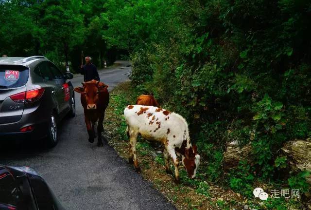 井底挂壁公路，观者骇魂，行之心惊，还能体验真正的天路入云！