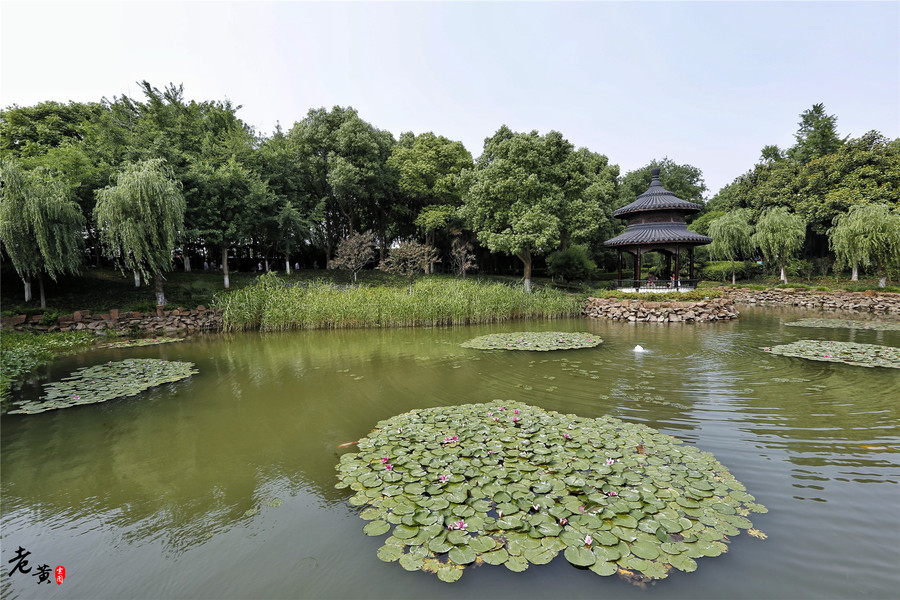 天然观景台，在这里可以一览天目湖全景