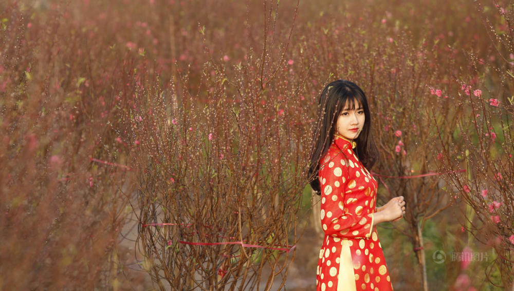 越南民众买桃花求好运 美女似画中人