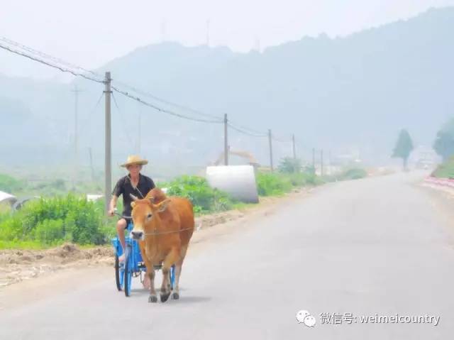 石头村，那画面太美我不敢看！