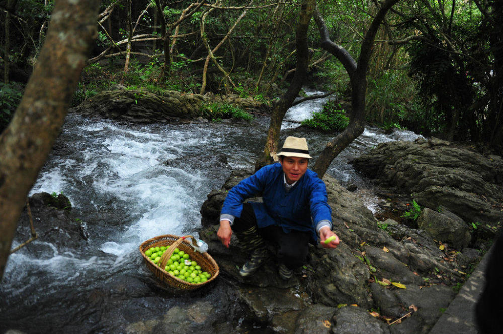 《跟着贝尔去冒险》拍摄地 男子水上森林卖水果你一定没见过！