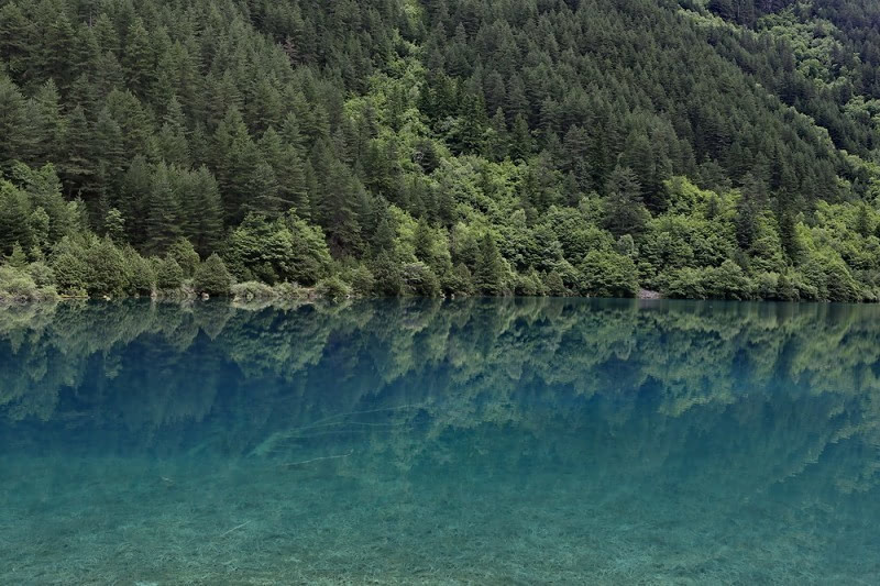 夏季去九寨沟看水，心都凉透了