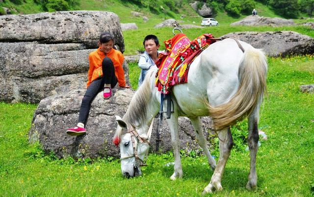 关山草原做“骑马生意”的农村少年！